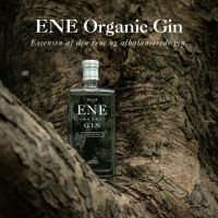 Wild Distillery ENE Organic Gin 70 cl