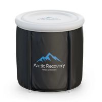 Arctic Recovery Isbad MAX model