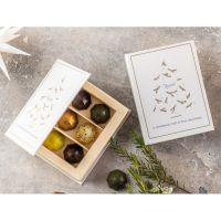 Xocolatl - White Christmas Book